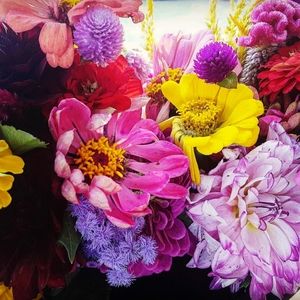 Meet your Posher, Meka